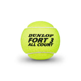 Dunlop Fort All Court (TS) 4 Ball